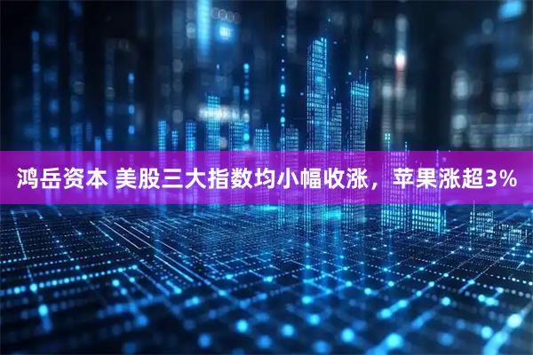 鸿岳资本 美股三大指数均小幅收涨，苹果涨超3%